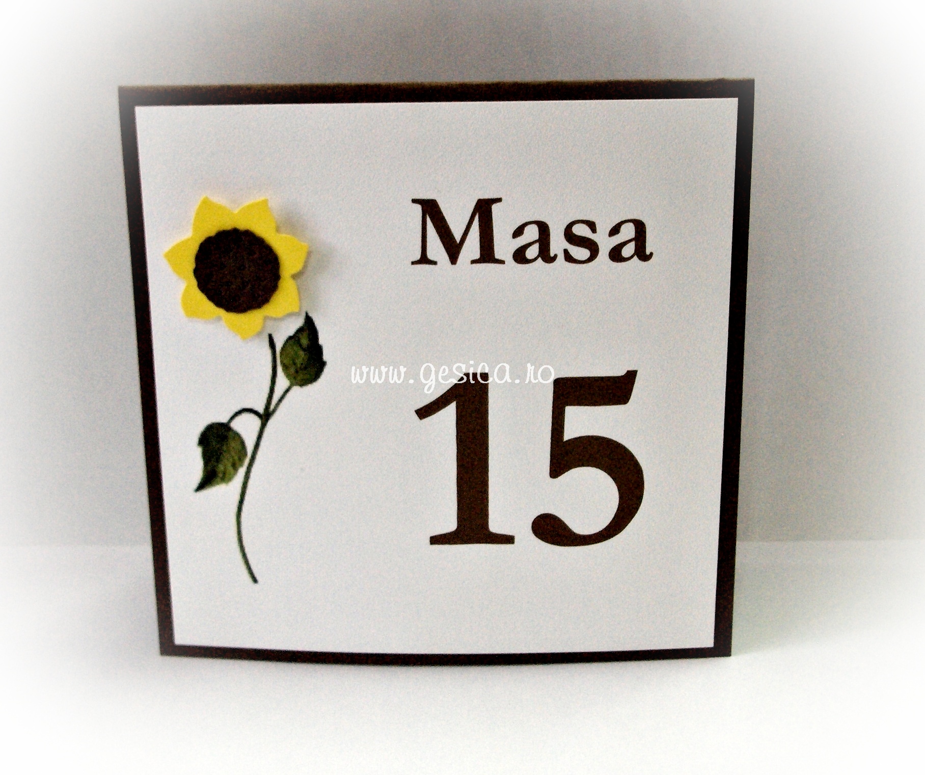 Numar masa NM15