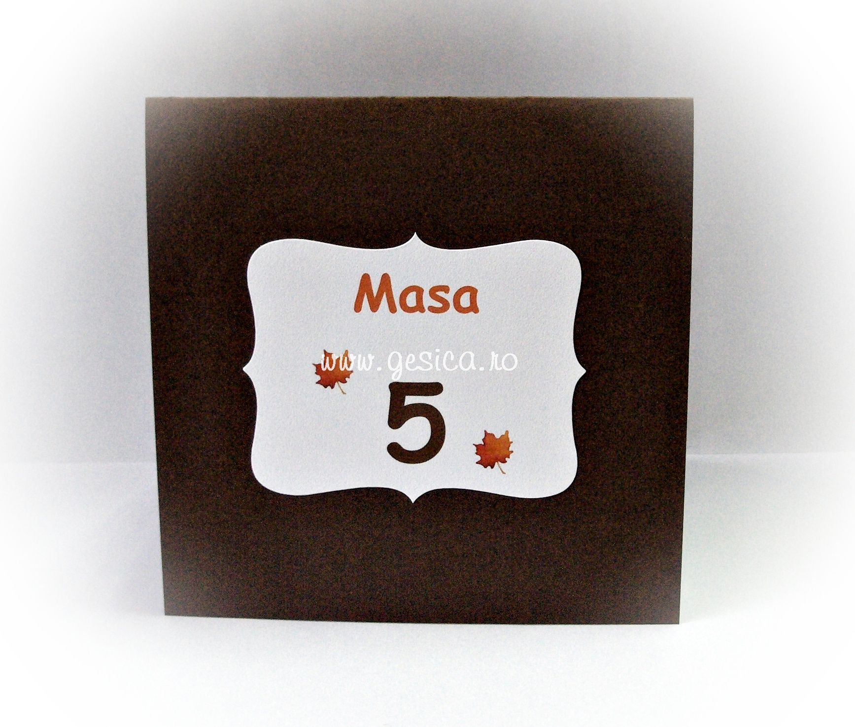 Numar masa NM16