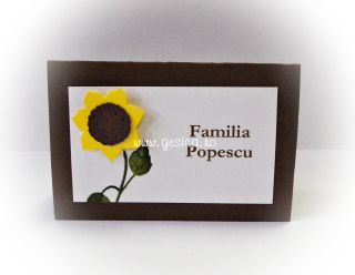 Card asezare CA22